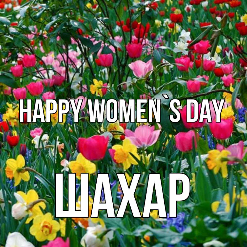 Greetings card с именем, ШАХАР happy women`s day с международным женским днем поздравления для женщины Greetings with text for free download 